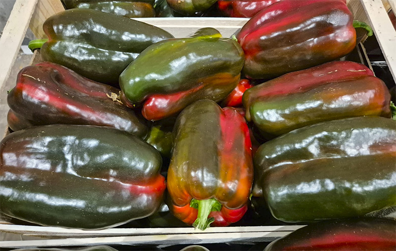 Peperone Rosso - Sicilia - 2,00/2,50 euro al chilogrammo